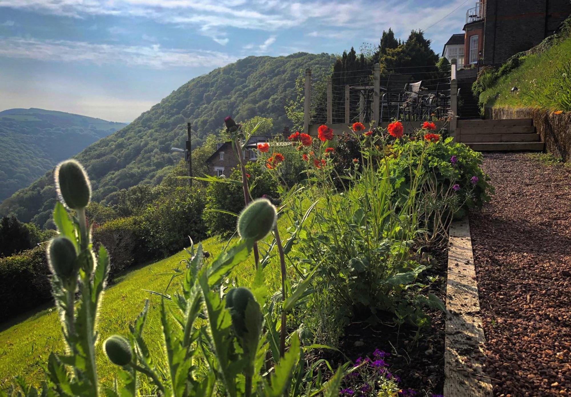 Highcliffe House Bed and Breakfast Lynton Eksteriør billede